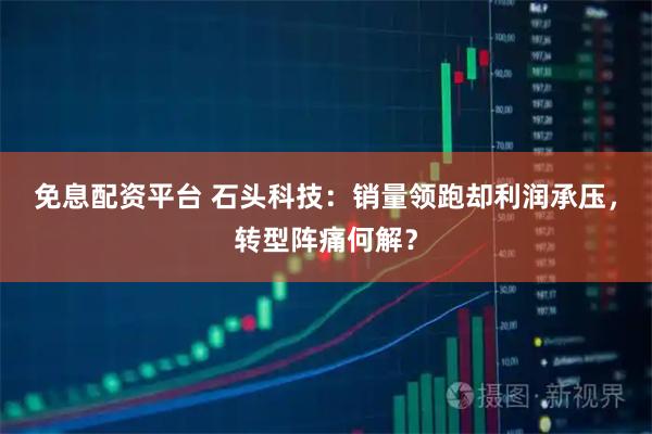 免息配资平台 石头科技：销量领跑却利润承压，转型阵痛何解？